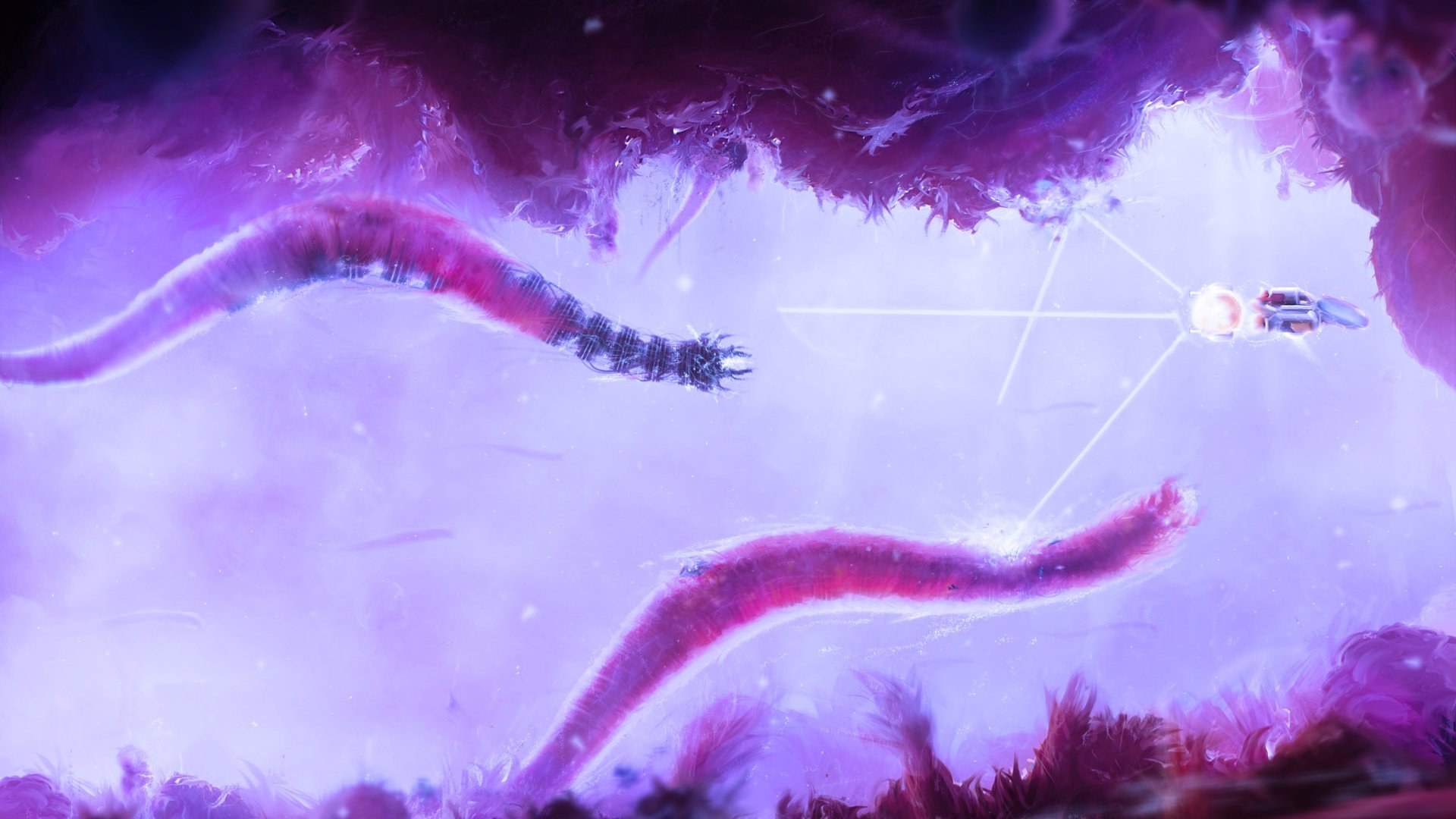 星空体彩官网app讲解